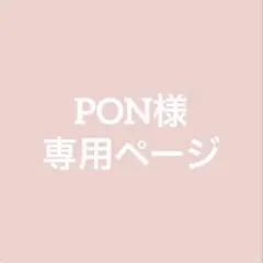＊PON様専用ページ