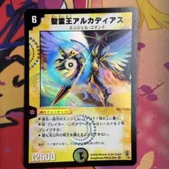 本日限定価格】聖霊超王H・アルカディアス シークレット シク - メルカリ