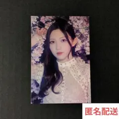 櫻坂46 サクコレ 会場くじ 参加賞 ステッカー 谷口 愛季 - メルカリ