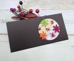 Item thumbnail for item 95d21118-0d55-4409-973e-dfdf1a1b7017