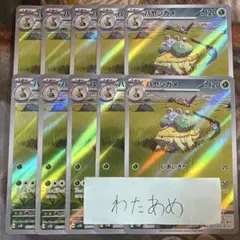ハヤシガメ AR　10枚　まとめ売り