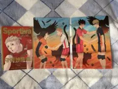 ハイキュー ショーセツバン Sportiva 特典 ビジュアルボード