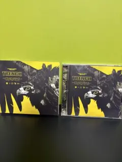Twenty One Pilots TRENCH 国内版