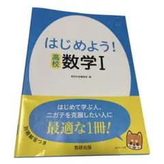 高校 数学1 苦手克服 解説 練習問題 未使用 新品 参考書