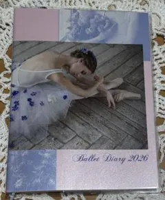 Item thumbnail for item da24dd55-cf5c-41b9-ad84-94dc14cb7509