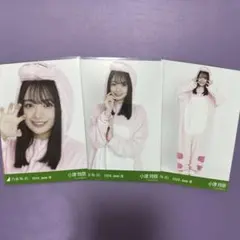 乃木坂46 生写真 小津玲奈 福井ver.コーデ 恐竜 3種コンプ 美品