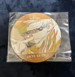 5月末まで Dr.STONE 西園寺羽京 BIG缶バッジ スタンド