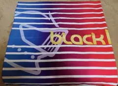 Item thumbnail for item a85026fe-0c4b-4953-87ff-1372a44b53a9