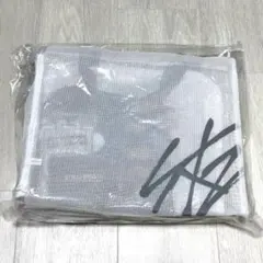 stray kids アプグレ グッズ 抜けなし 未開封　名古屋