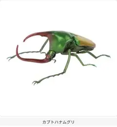 いきもの大図鑑 かぶとむし09 カブトハナムグリ イエロー ガチャ ㉕