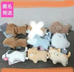 つぶらな瞳の犬と猫　マスコット