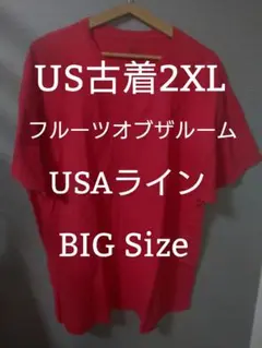 【US古着2XL】フルーツオブザルームUSAライン K-52
