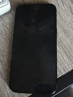 Apple iPhone 15 256GB 本日購入より本日発送