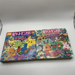 希少 ポケットモンスター アドバンスジェネレーション かるた 平成