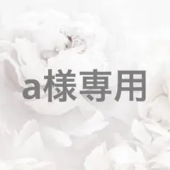 a様専用