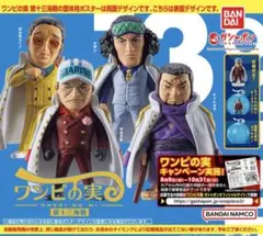 ワンピの実　第十三海戦　サカズキ