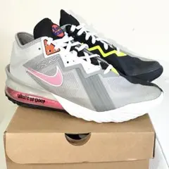新品《即日発送》Nike ナイキ Lebron 18 Low EP