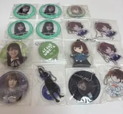 欅坂46 キーホルダー 色紙 Amazon.co.jp: [乃木坂46] CD型キーホルダー ネーブルオレンジ