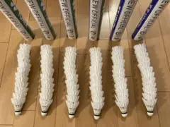 NEW OFFICIAL ニューオフィシャル　基礎打ち・ノック用シャトル72個