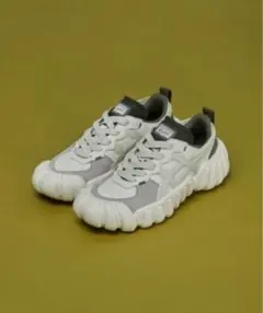 DENTIGRE LS / デンティグレ エルエス