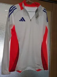 Item thumbnail for item 5000f7e8-5e81-404a-926c-a8a9ff292365