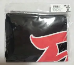 阪神タイガース 69 石井大智 応援プリントフェイスタオル 2025年 新品