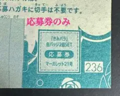 マーガレット 2025年21号 きみとバラ色の日々 応募券のみ