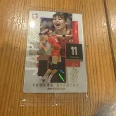 バレーボール女子日本代表 2026 山田二千華