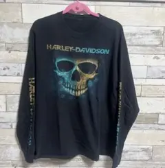 【90s】ハーレーダビッドソン 長袖 ロンT ロゴ 古着 ビンテージ 古着 90s USA製 HARLEY DAVIDSON 「LAS VEGAS」 メタリック ロゴ