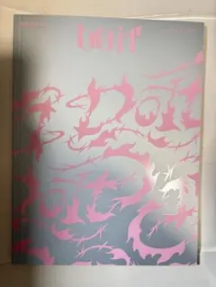 Straykids スキズ DOiT 通常盤 cd未再生