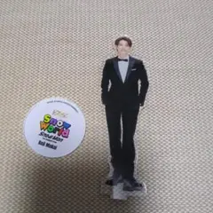 向井康二 アクリルスタンド Snow World