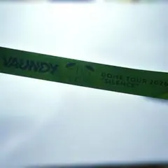 Vaundy DOME TOUR 札幌プレミストドーム 銀テ - メルカリ
