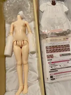 VOLKS　南条勲　SD13　ヘッド＋ボディ 第2回 テーマ：Super Dollfie | #02ドルフィー☆ベスト
