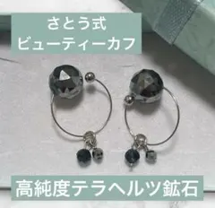 2025年最新】さとう式の人気アイテム - メルカリ