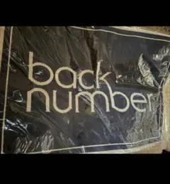 back number 日曜日 ラグ ラグマット