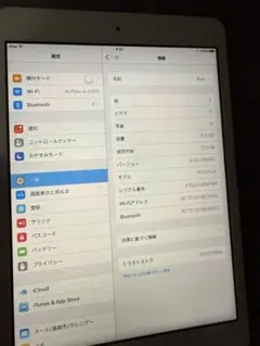 Apple iPad 12.6GB シルバー 本体