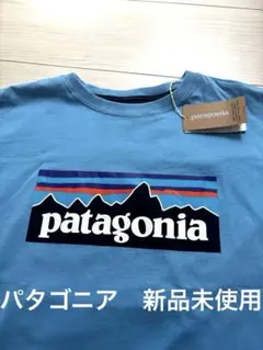 ⚫️新品未使用、タグ付⚫️ Patagonia Tシャツ XXL M相当　パタゴニアのサムネイル
