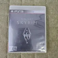 ザ・エルダー・スクロール5:スカイリム