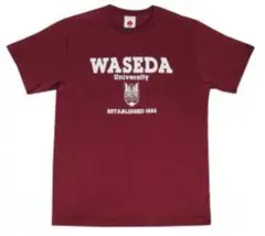 お値下げ可☆WASEDA University Tシャツ エンジ