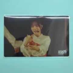 櫻坂46 中川智尋　クリアカード　新参者