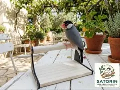 止まり木（組み立て式）【送料無料】文鳥、インコ、オウム、小鳥、パーチのサムネイル