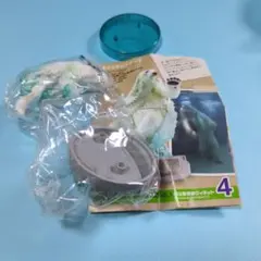 ②旭川動物園ヴィネット（ホッキョクグマ）