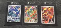 カイオーガ グラードン カクレオンなどAR12枚 - メルカリ