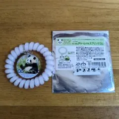 アドベンチャーワールド パンダ 楓浜 チャーム付きスプリングゴム 新品未使用