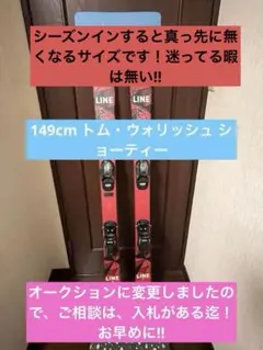 2025年最新】line スキー板の人気アイテム - メルカリ