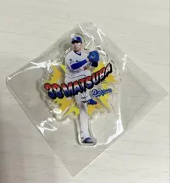 中日ドラゴンズ　アクリルピンズ　ガチャガチャ　ドラゴンズストア限定