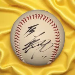 大谷翔平選手 北海道日本ハムファイターズ 直筆サインボール 初期