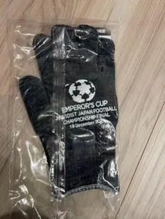 天皇杯 101回大会 記念グローブ 手袋のサムネイル