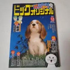 ビッグオリジナル 2025年11月20日号