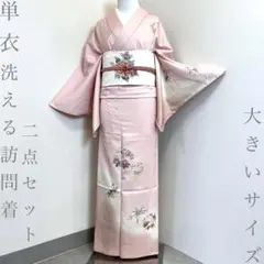 着物と帯 時流】ヒ26273s◇単衣洗える訪問着2点セット◇名古屋帯8寸